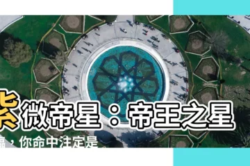 【帝王之星】紫微帝星：帝王之星降臨，你命中註定是王者