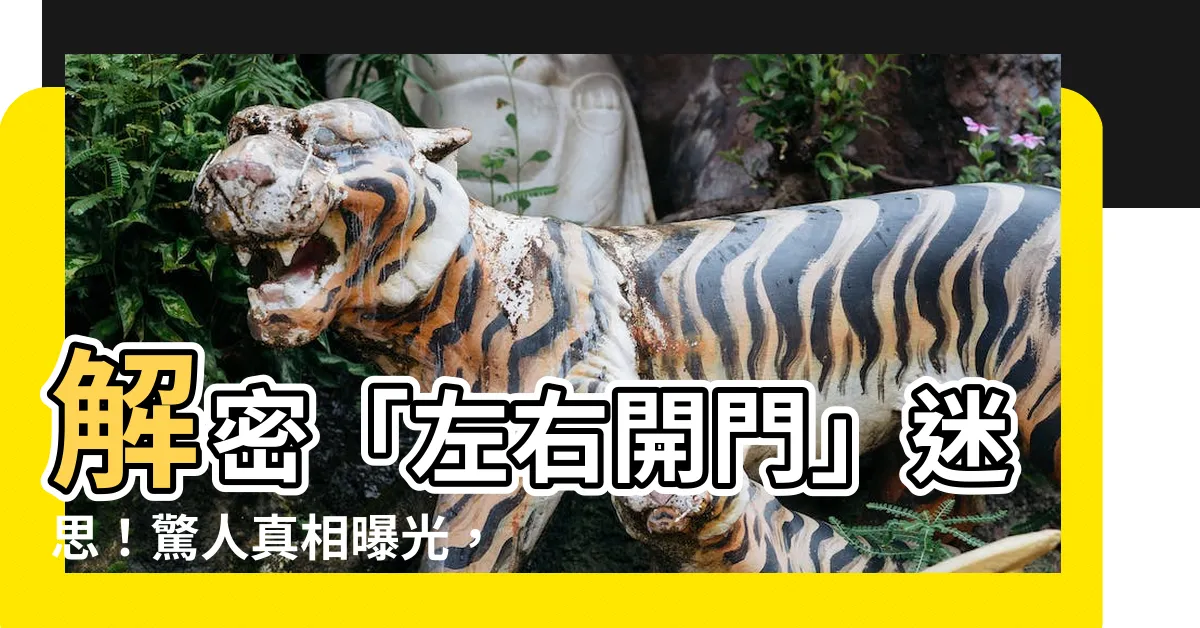 【左右開門】解密「左右開門」迷思！驚人真相曝光，掌握關鍵一招瞬間分辨！