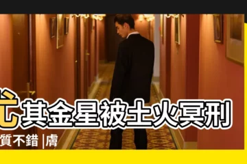 【火冥刑 長相】尤其金星被土火冥刑 |氣質不錯 |膚色偏黃 |