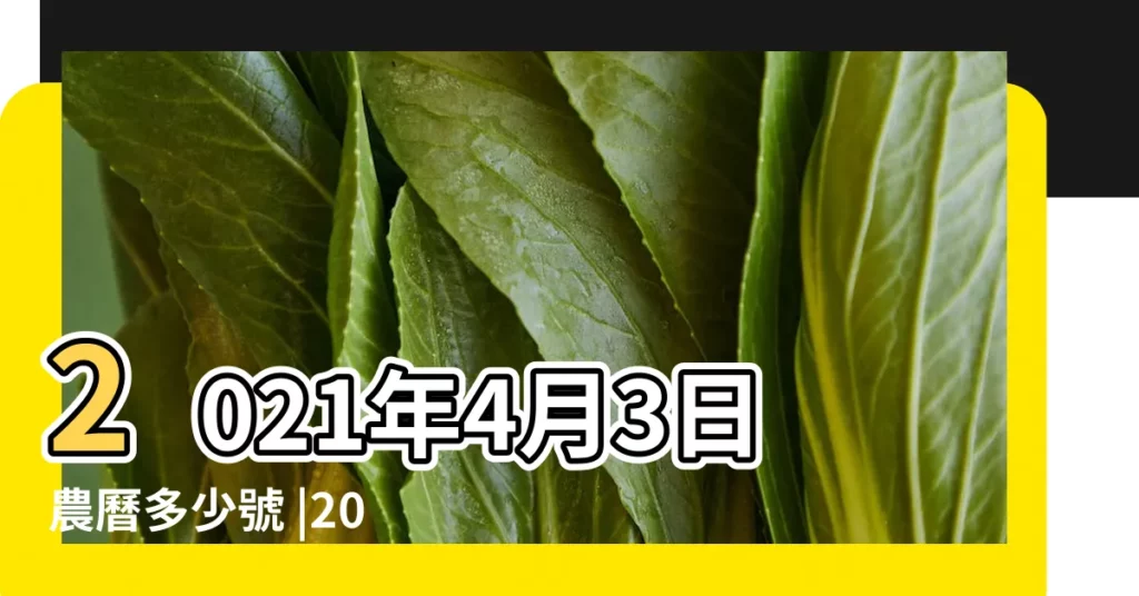 2021年4月3日農曆多少號 |2022年4月3日農曆多少號 |公曆2022年4月3日是農曆幾月幾號 |【4月3號是農曆多少】