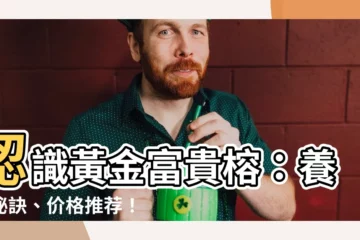 【黃金富貴榕】認識黃金富貴榕：養護秘訣、價格推薦！