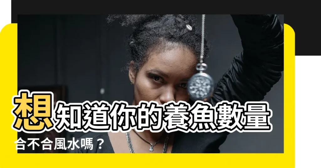 【魚的數量 風水】想知道你的養魚數量合不合風水嗎？