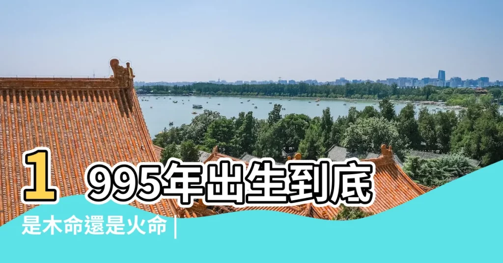 1995年出生到底是木命還是火命 |1995年屬豬是什麼命 |95年出生五行屬什麼 |【1995年出生説什麼】