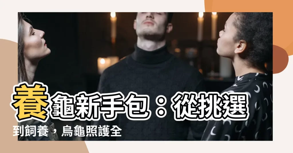 【烏龜 養】養龜新手包：從挑選到飼養，烏龜照護全攻略