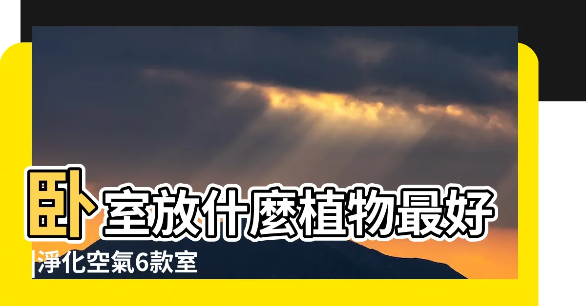 【適合放在卧室的植物】卧室放什麼植物最好 |淨化空氣6款室內植物推薦 |9種適合放在卧室的完美植物 |