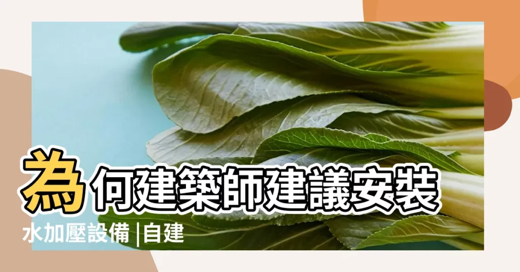 為何建築師建議安裝水加壓設備 |自建房怎麼增加水壓 |自建房的水壓不夠怎麼辦 |【自建樓房水怎麼增壓】