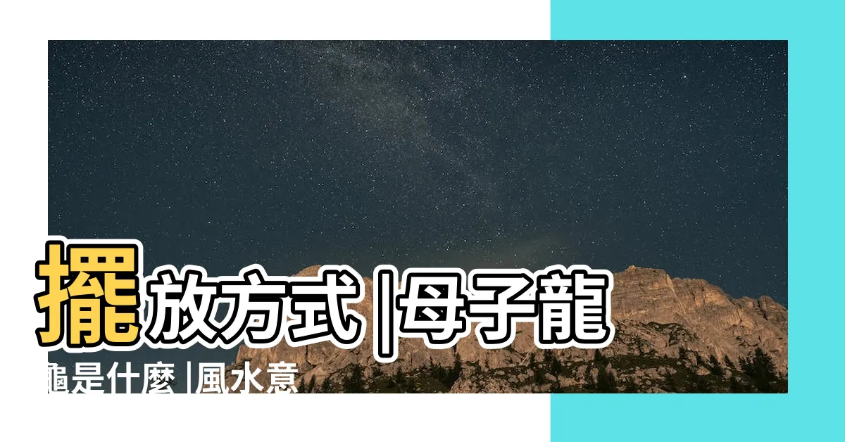 【母子龍龜功效】擺放方式 |母子龍龜是什麼 |風水意義 |