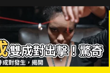 【成對發生】成雙成對出擊！驚奇事件成對發生，揭開背後隱藏的秘密