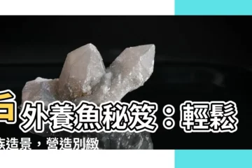 【室外養魚】户外養魚秘笈：輕鬆水族造景，營造別緻庭院！