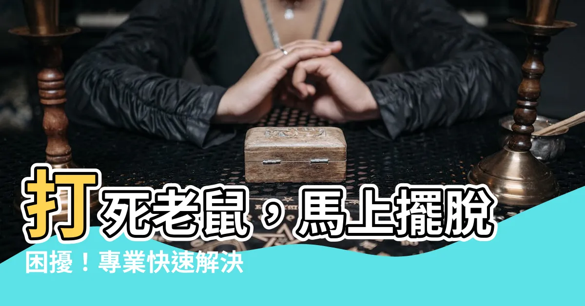 【打死老鼠】打死老鼠，馬上擺脱困擾！專業快速解決老鼠問題的方法