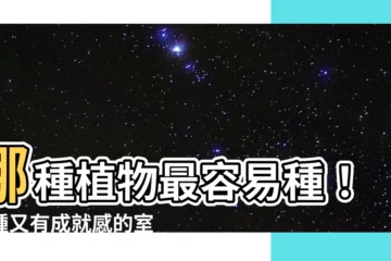 【哪種植物最好種】哪種植物最容易種！好種又有成就感的室內外盆栽推薦