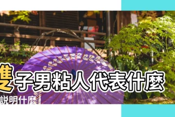 【雙子男粘人代表】雙子男粘人代表什麼 |這説明什麼 |雙子座的人開始黏人 |