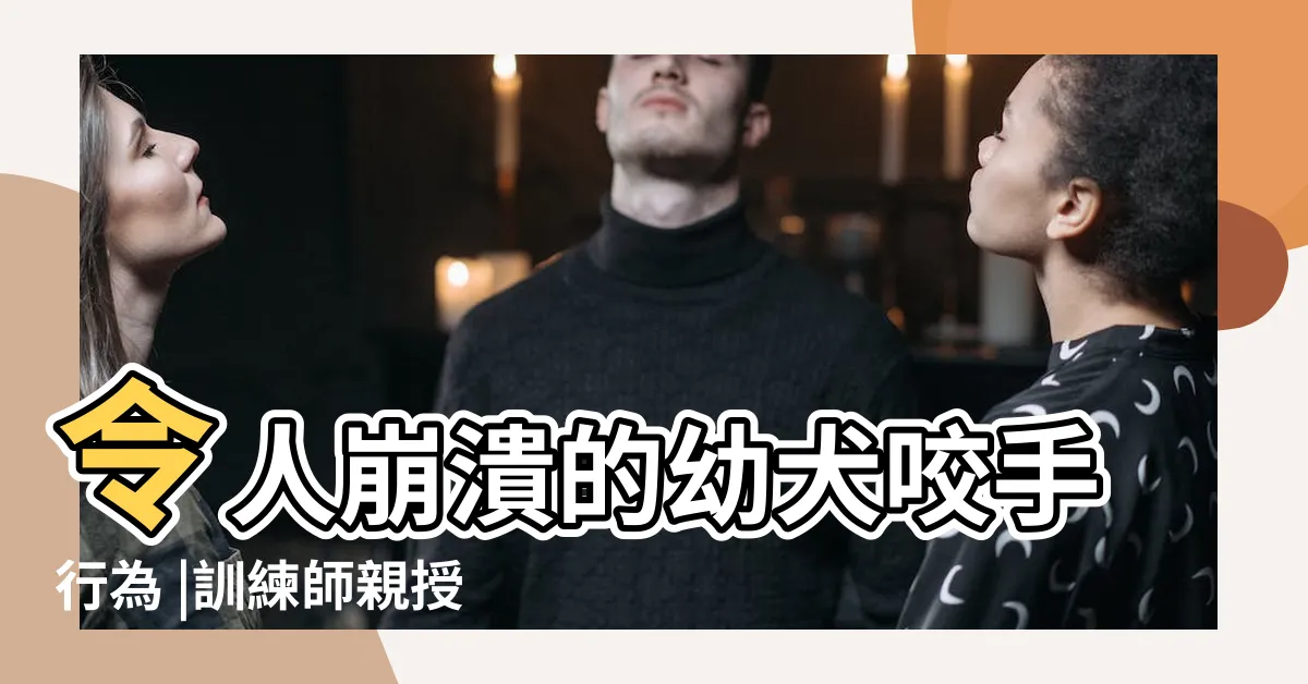 【幼犬咬手糾正】令人崩潰的幼犬咬手行為 |訓練師親授9大招教狗狗 |改掉咬手壞習慣 |