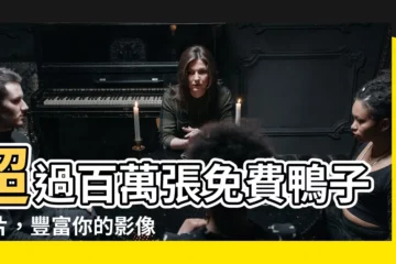 【鴨子照片】超過百萬張免費鴨子照片，豐富你的影像素材庫！