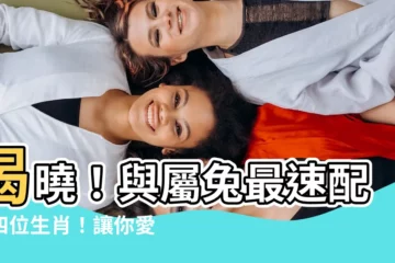 【兔子和什麼生肖最配】揭曉！與屬兔最速配的四位生肖！讓你愛情甜蜜蜜~