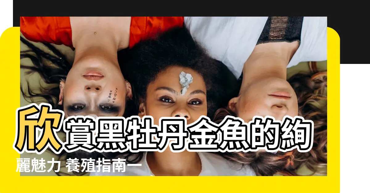【黑牡丹金魚】欣賞黑牡丹金魚的絢麗魅力 養殖指南一次搞定!