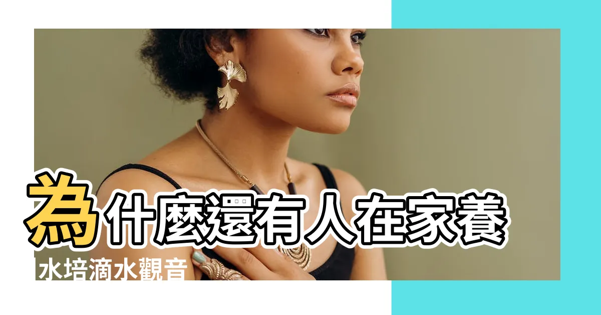 【滴水觀音 植物】為什麼還有人在家養 |水培滴水觀音 |100種觀葉植物 |