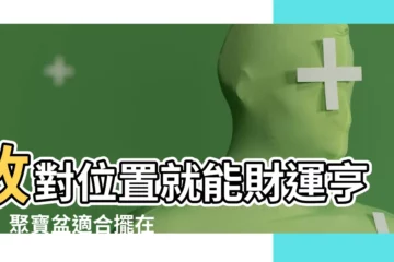 【聚寶盆適合放房間嗎】放對位置就能財運亨通！聚寶盆適合擺在房間的哪個方位？