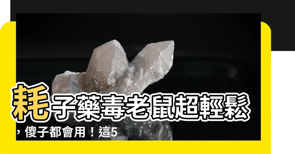 【耗子】耗子藥毒老鼠超輕鬆，傻子都會用！這5招擊殺耗子超有效