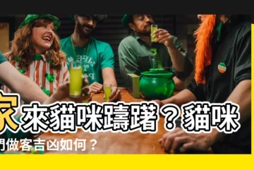 【貓來家裏好不好】家來貓咪躊躇？貓咪登門做客吉凶如何？