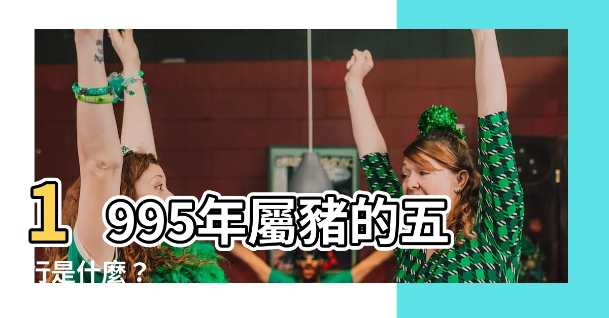 【1995年五行屬什麼】1995年屬豬的五行是什麼？