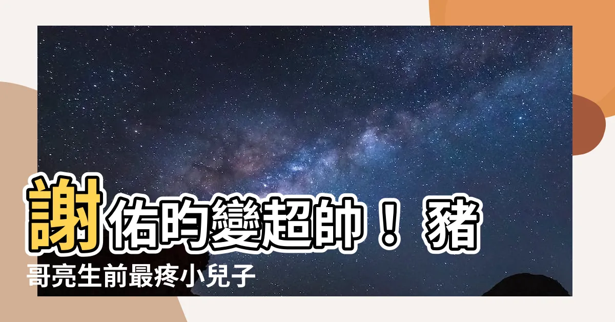 【謝佑昀 豬哥亮】謝佑昀變超帥！ 豬哥亮生前最疼小兒子近況曝光！
