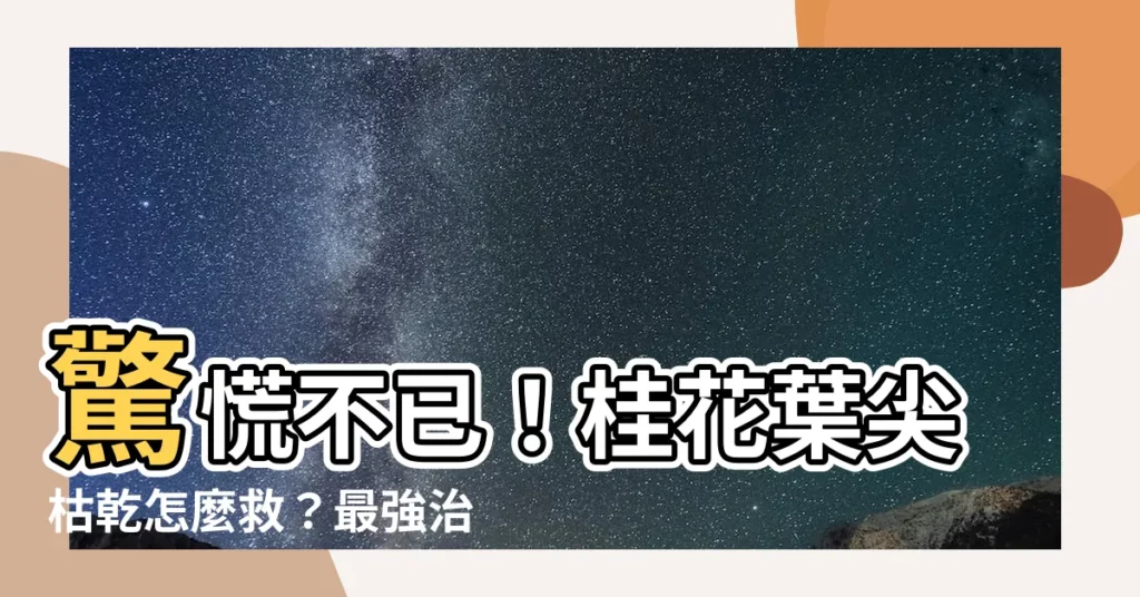 【桂花枯葉病用藥】驚慌不已！桂花葉尖枯乾怎麼救？最強治葉枯病用藥推薦
