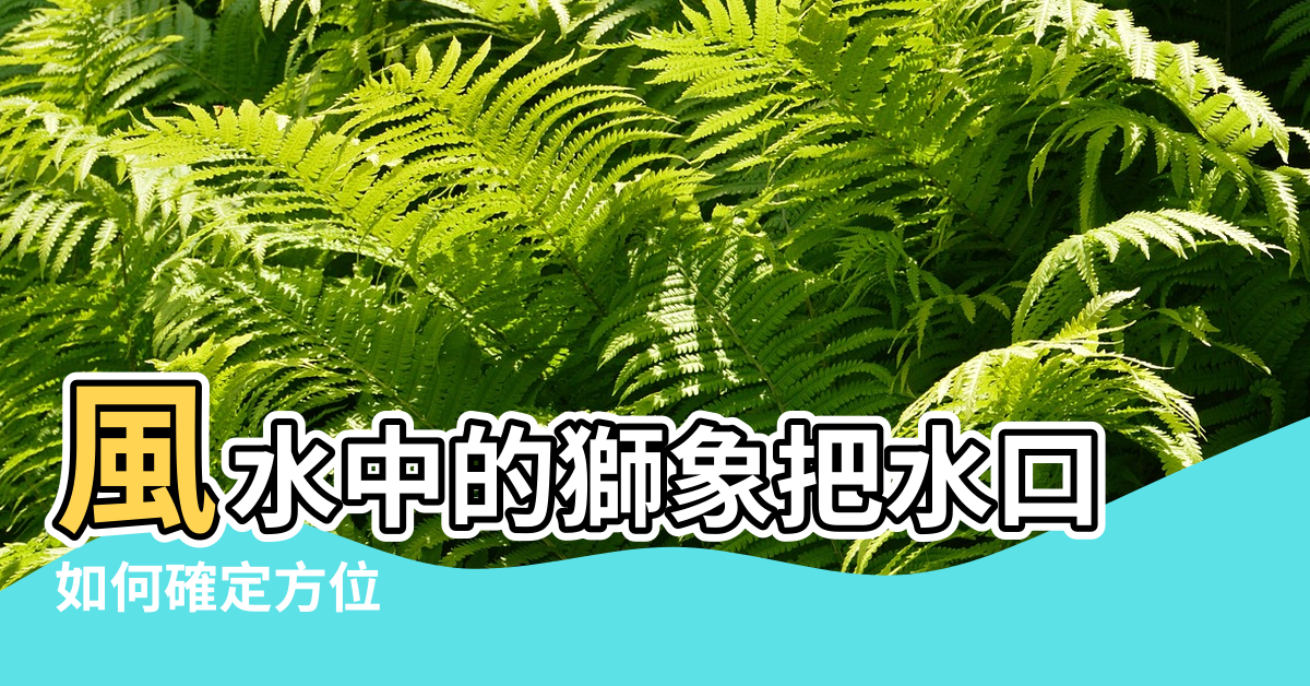 【風水獅子把水口】風水中的獅象把水口 |如何確定方位 |風水獅子把水口 |