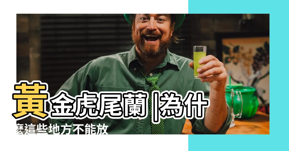 【虎尾蘭盆栽放錢】黃金虎尾蘭 |為什麼這些地方不能放 |虎年招財擋煞的風水盆栽 |