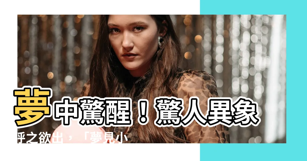 【夢見小貓來家裡】夢中驚醒！驚人異象呼之欲出，「夢見小貓來家裡」深藏黑幕