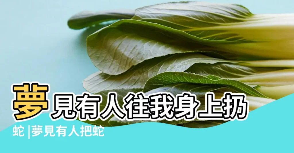 夢見有人往我身上扔蛇 |夢見有人把蛇丟我身上 |夢見別人把蛇扔我身上 |【夢見別人扔小蛇給自己身上】