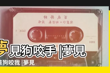 【夢見被一羣狗咬到手】夢見狗咬手 |夢見一羣狗咬我 |夢見被狗咬手 |