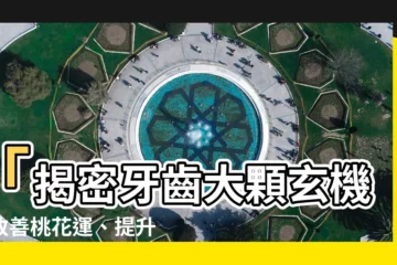 【牙齒大顆】「揭密牙齒大顆玄機，改善桃花運、提升財運竟如此簡單！」