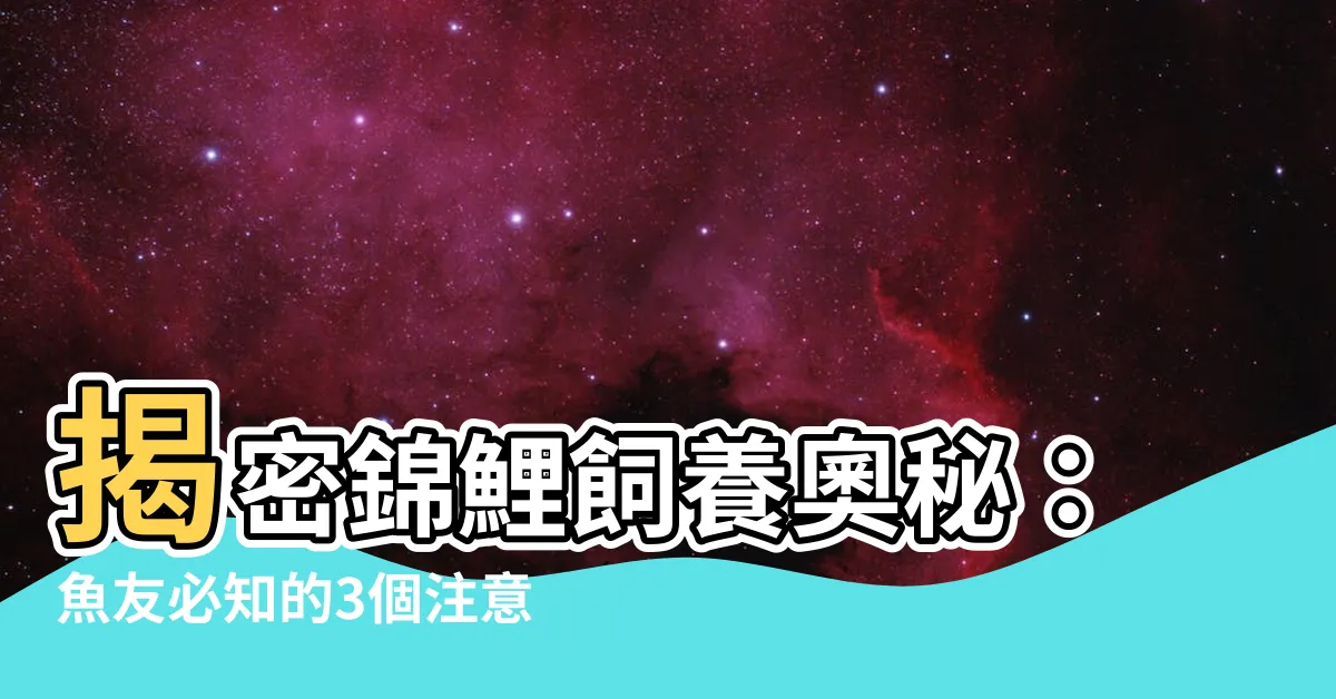 【養鯉魚】揭密錦鯉飼養奧秘：魚友必知的3個注意事項與5個養鯉秘訣！