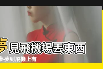 【夢到在飛機上扔東西】夢見飛機場丟東西 |做夢夢到飛機上有人往下扔東西 |夢見飛機投下東西 |