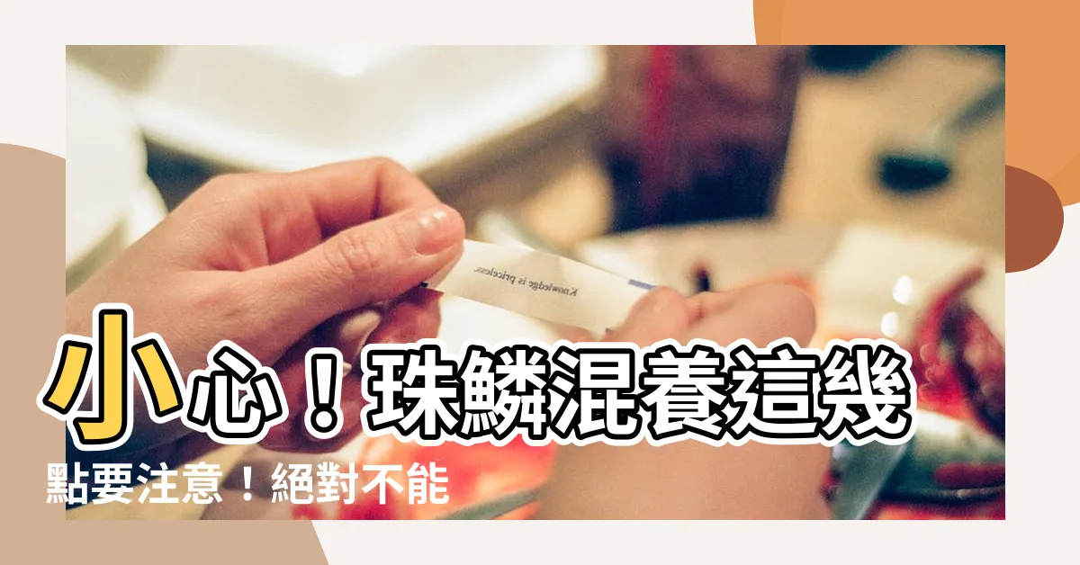 【珠鱗 混養】小心！珠鱗混養這幾點要注意！絕對不能和這些魚混在一起