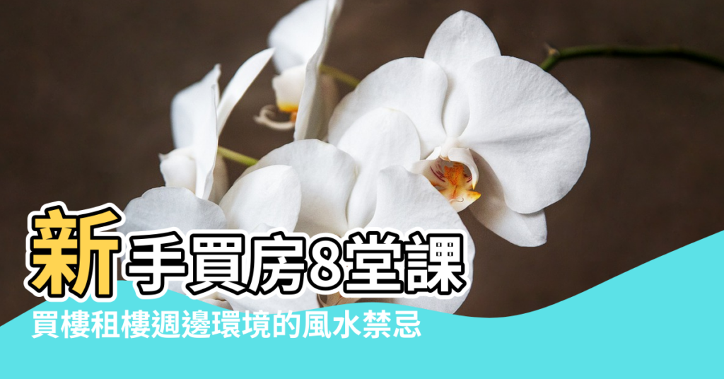 【買樓房的風水禁忌】新手買房8堂課 |買樓租樓週邊環境的風水禁忌 |你看懂了嗎 |