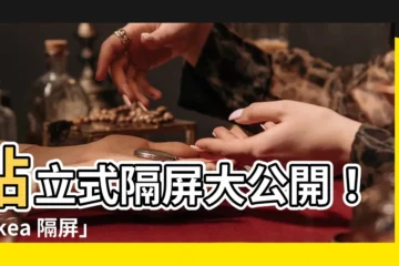 【站立式隔屏】站立式隔屏大公開！「ikea 隔屏」高人氣，網友激推居家必備
