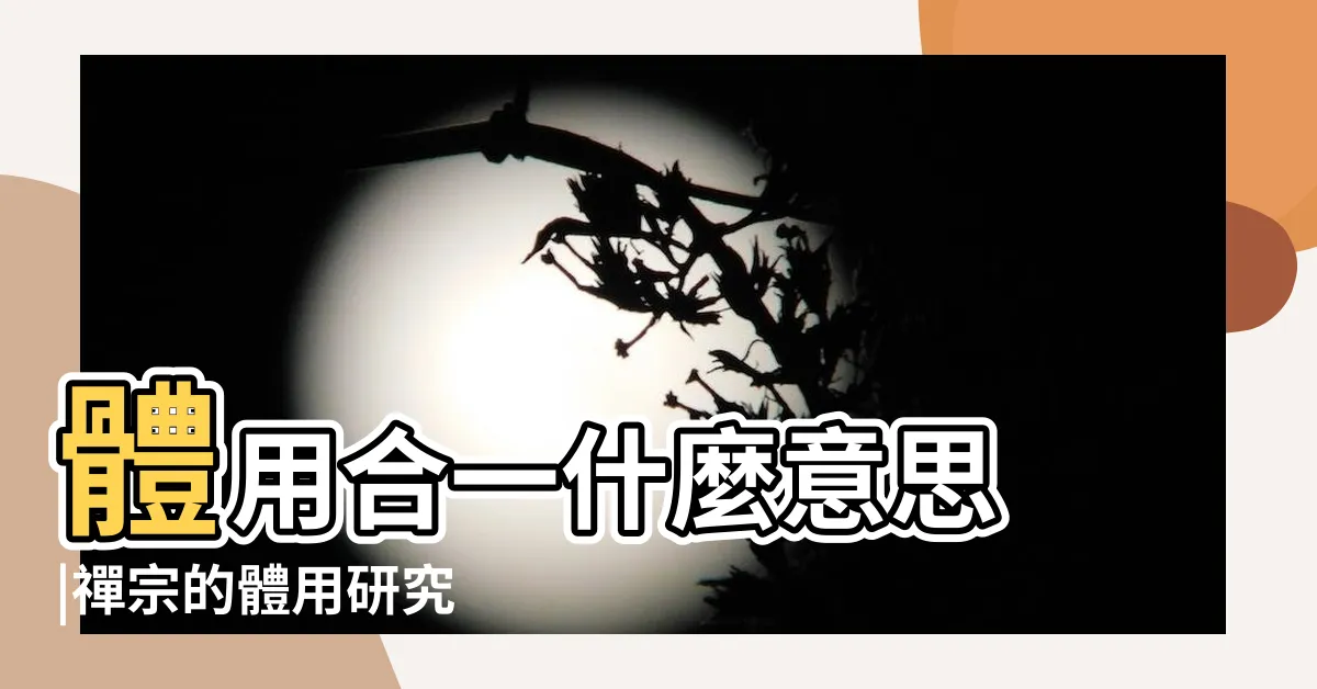 【體用合一】體用合一什麼意思 |禪宗的體用研究 |體用合一什麼意思高一歷史題朱熹 |