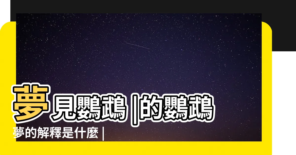 【夢見彩色鸚鵡】夢見鸚鵡 |的鸚鵡夢的解釋是什麼 |夢到漂亮的鸚鵡 |