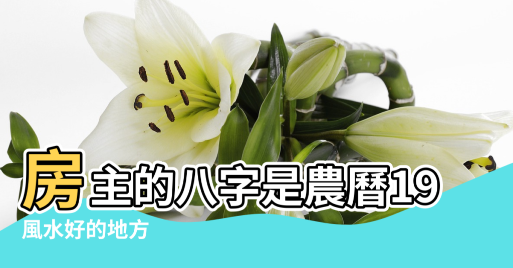 【風水不好的地方叫什麼】房主的八字是農曆1987 |風水好的地方 |不好的地方擺些什麼 |