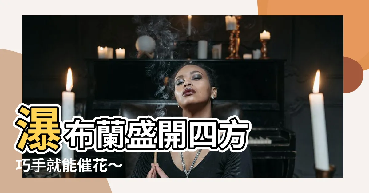 【瀑布蘭催花】瀑布蘭盛開四方 巧手就能催花～