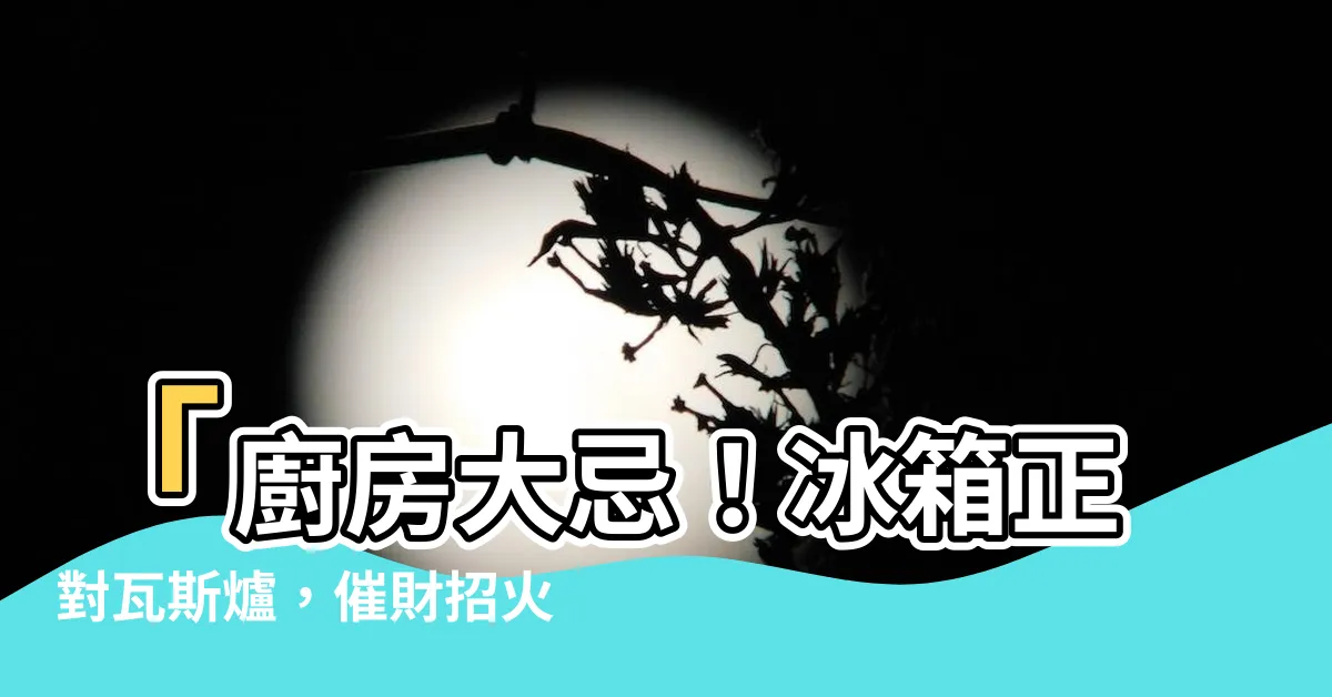 【冰箱正對瓦斯爐】「廚房大忌！冰箱正對瓦斯爐，催財招火禍，必學命理師小撇步！」