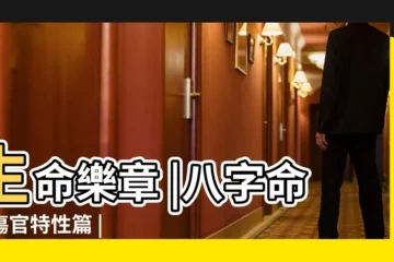 【天干正官傷官七殺】生命樂章 |八字命理傷官特性篇 |