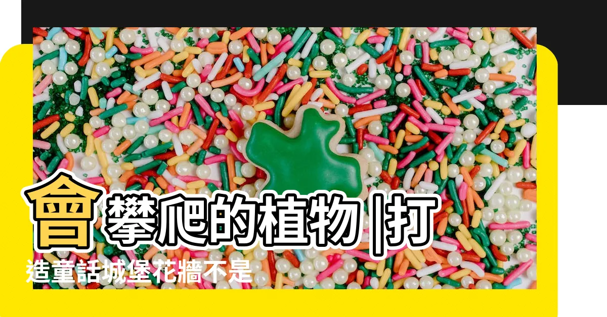 【會攀爬的植物】會攀爬的植物 |打造童話城堡花牆不是夢 |12種高顏值爬藤植物 |
