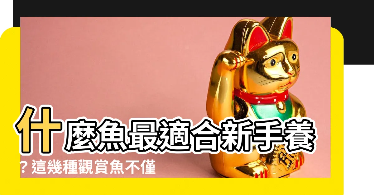 【什麼魚最好養】什麼魚最適合新手養？這幾種觀賞魚不僅好養還好看！