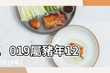 【豬年12月出生取什麼名字】2019屬豬年12月 |2019年12月出生寶寶起名取名 |出生寶寶起名字大全 |