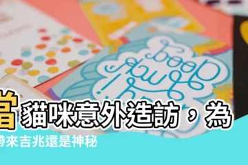 【貓咪跑到家裡】當貓咪意外造訪，為你帶來吉兆還是神秘徵兆？