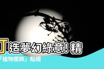 【植物擺飾】打造夢幻綠意! 精選「植物擺飾」點綴居家生活