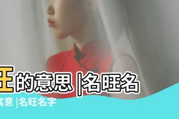 【旺字在名字中的寓意】旺的意思 |名旺名字寓意 |名旺名字的含義 |